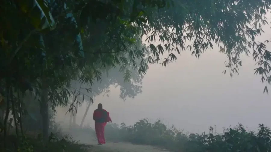 Serene landscape of Nilphamari district, Bangladesh, showcasing rivers and greenery for 2025 travel inspiration.
